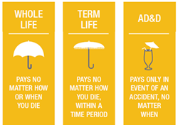 ADDTERMLIFE